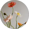 Chryso Athanasiadou Avatar